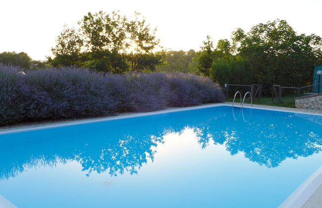 Il Poggio Dell'Artilla - Foto 24