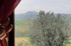 La Voce della Natura - Foto 7