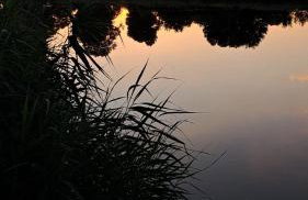 Appartment II Dwor Kuflew - Foto 21