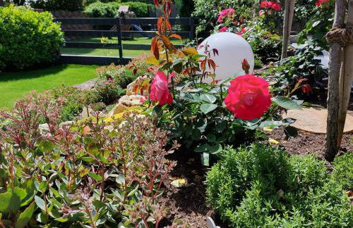 Ferienwohnung Pension Waldblick - Foto 44