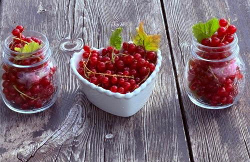 Chalet Tschattlhof Dolomites - Foto 41