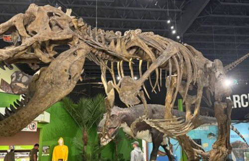 Secluded Luxe 5BR Estate| Pool, Wineries, Near ND - Foto 64