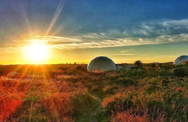 Geodome Glamping With sea Views Near Pendine - Foto 10