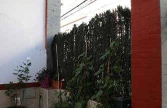 Abuelo Rafael - Photo 32