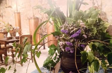 Casario do Vale Hospedagem e Eventos - Photo 76