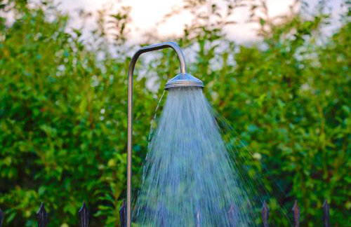 Phivos Home & Garden - Foto 9