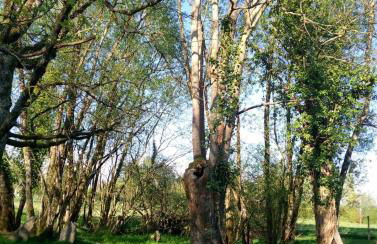 Les Clés Nature - Foto 10