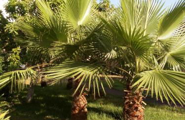 Residence Santa Maria Suites - Foto 20