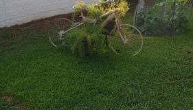 Garden House - Foto 5