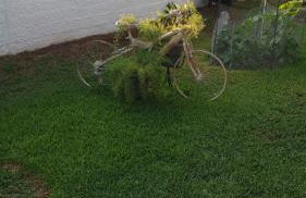 Garden House - Photo 5