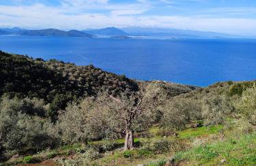 erofili apartments - Photo 56