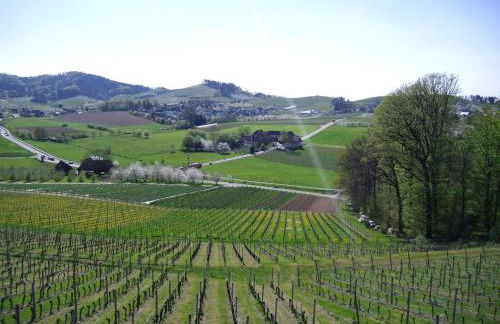 Ferienwohnung am Weinberg - Foto 11