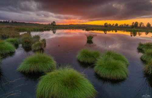 Ferienwohnung Zum Moor - Foto 1