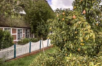 Ferienhof tom Diek - Foto 26