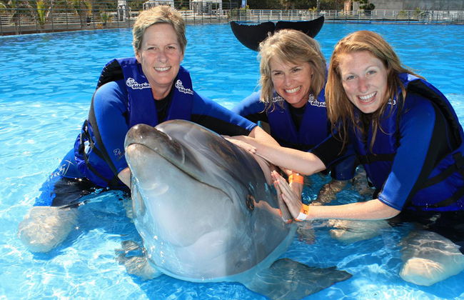Negril Sonnenuntergang und Dolphin Cove Begegnung - Foto 1