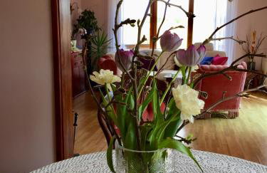 Ferienhaus in Polen- an den kaschubischen Seen - Foto 38