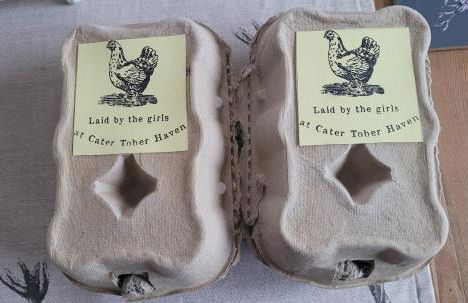 Cater Tober Haven - Photo 28