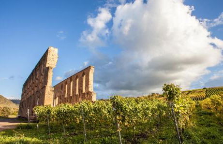 Ferienhaus Am Moselstausee - Foto 32