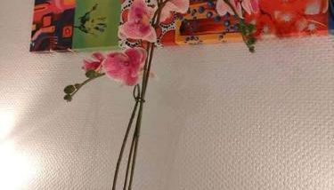 Appartement au calme ORSAY PARIS - Foto 4