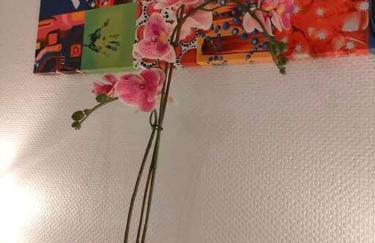 Appartement au calme ORSAY PARIS - Foto 4