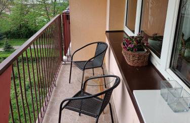 Mieszkanie Mickiewicza ... 45 - Foto 24