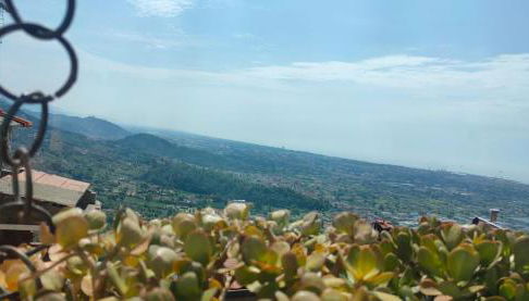 Luxury Apartment - Photo 2