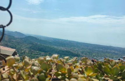 Luxury Apartment - Photo 2