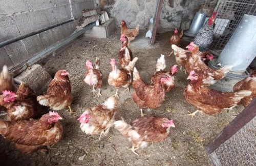 CASA rural DOLORES en Adeje - Foto 43