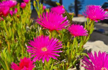 Vila Elena - Foto 21