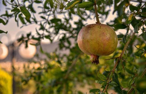 VillaBayViewCrete - Foto 68