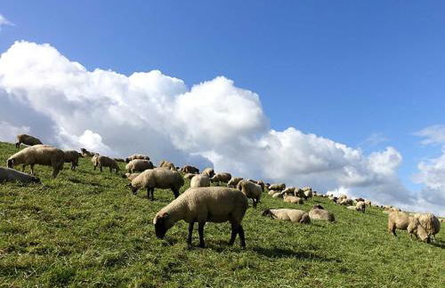 Ferienwohnung Rudis Obstgarten - Foto 21