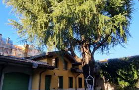 Casa del Cedro - Comfort e relax - Photo 1