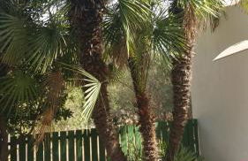 Villa Chabola - Foto 19