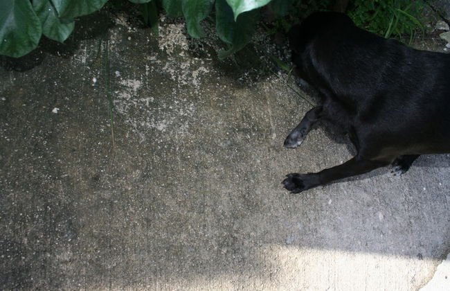 Apartments Paraiso Maya 19-b - Photo 25