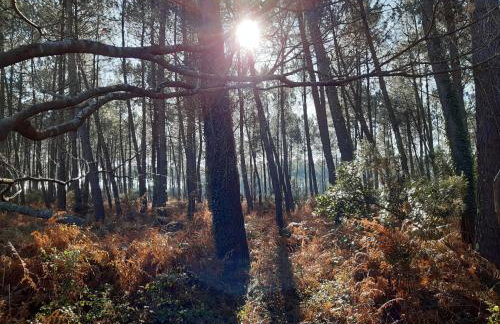 Villa Messanges (piscine & spa) - Photo 22