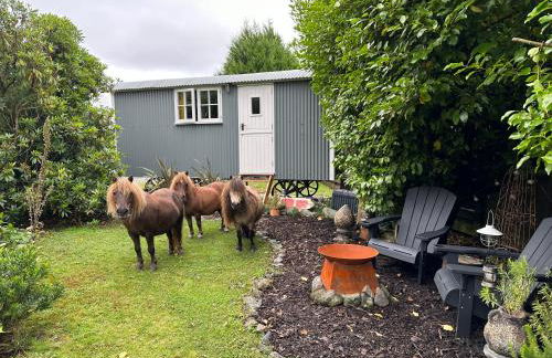 Miners Hut - Foto 10