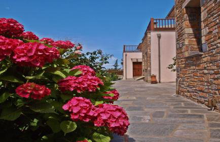 Lions Nine - Foto 26