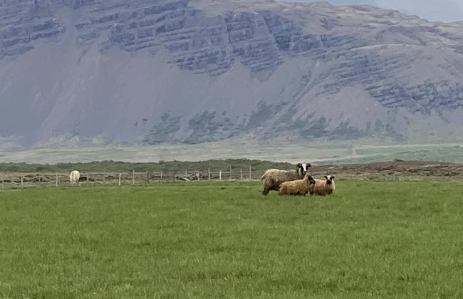 Álftártunga farm guesthouse - Foto 69