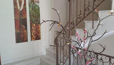 CRYSTAL BAY - Foto 5