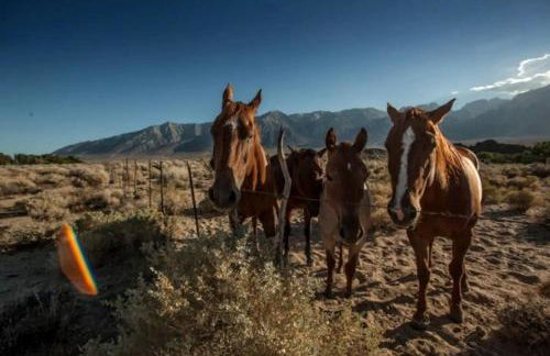 Stunning Lone Pine Accommodation for Romantic Getaways in California - Foto 13