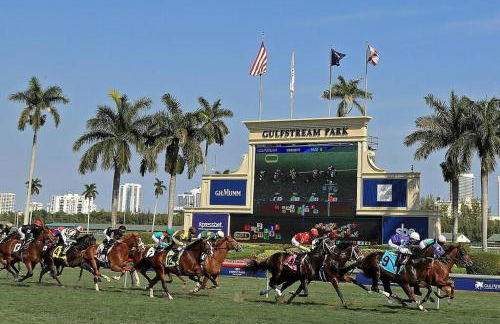 Enjoy our brand new home close to Hollywood in Hallandale Beach! - Foto 30