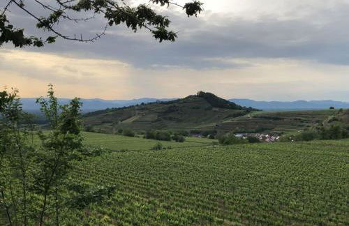 Holiday Apartment Kromer - Foto 57