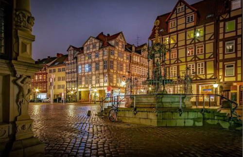 Zentral, nähe HBF, Supermarkt, Bahn vor Ort - Foto 24