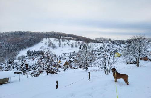Gasthaus Rennsteig - Foto 19