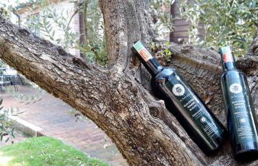 Agriturismo La Sovana - Photo 42