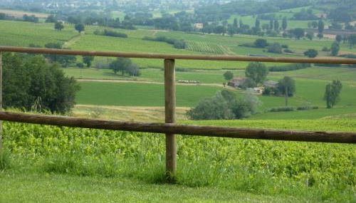 Genius Loci Country Inn - Foto 3, Garden, Garden view