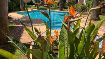 EL PATIO - apartment LA LUBICA - Foto 3