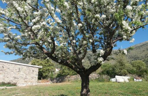 Seastone Villas - Foto 30