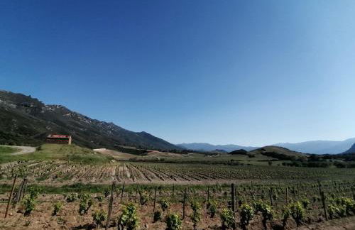 Casa di Ceppo - Foto 11