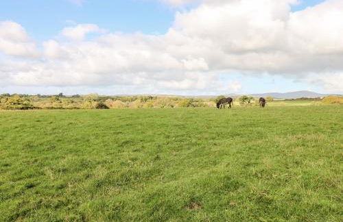 Saddlers Cottage, Berllandeg Farm - Foto 30